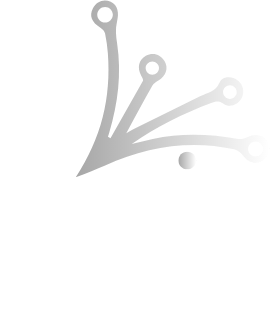 WP Rays